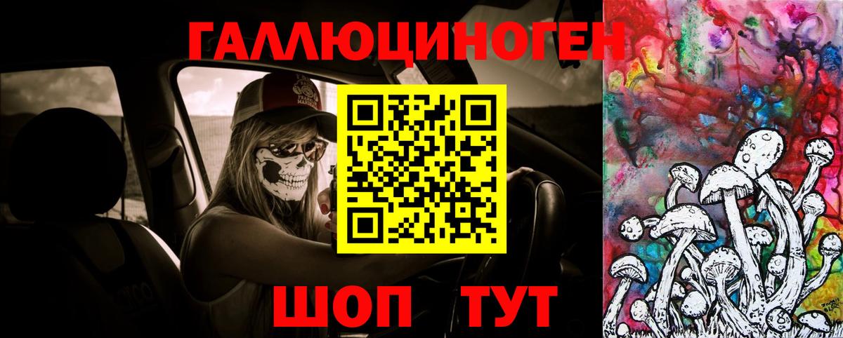 Псилоцибиновые грибы мицелий Красноярск