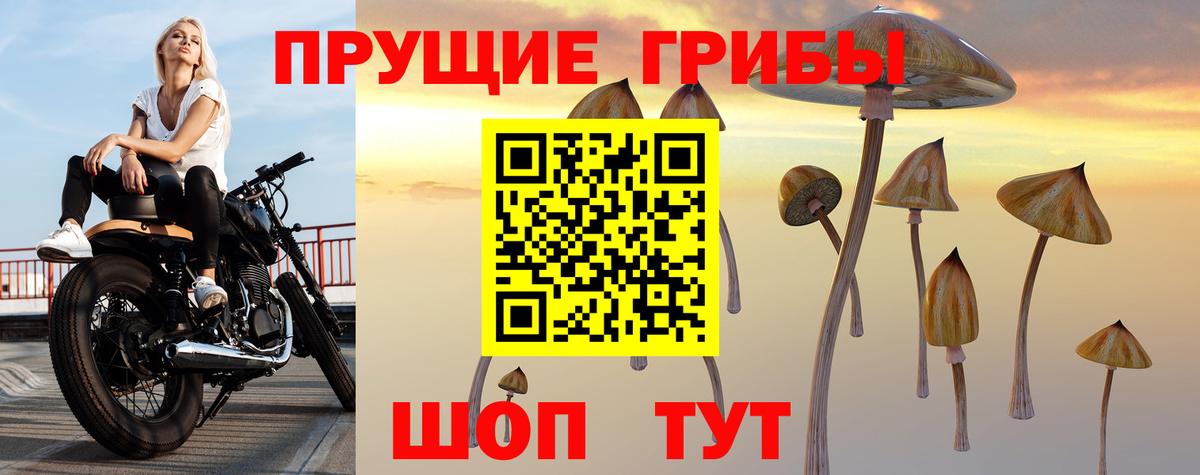 Галлюциногенные грибы Magic Shrooms  Галлюциногенные грибы мухоморы  Красноярск  Вход с VPN 